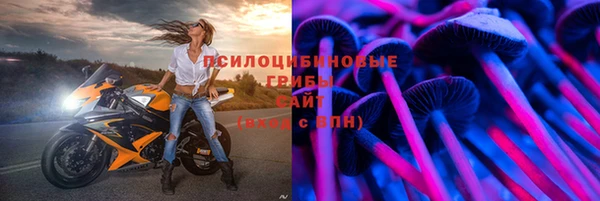 соль ск Аша