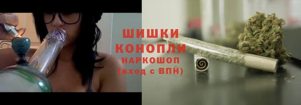 гашик Бронницы