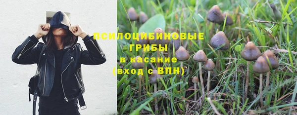 таблы Богородск