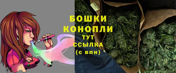 ГАЛЛЮЦИНОГЕННЫЕ ГРИБЫ Богданович