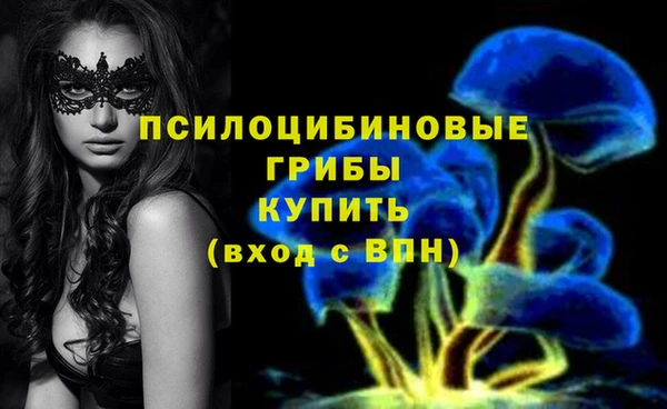 таблы Богородск