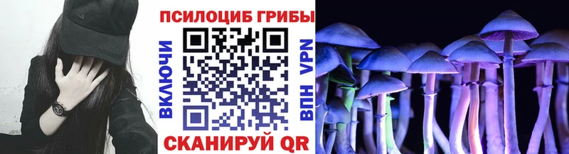 Псилоцибиновые грибы мухоморы  Волосово 